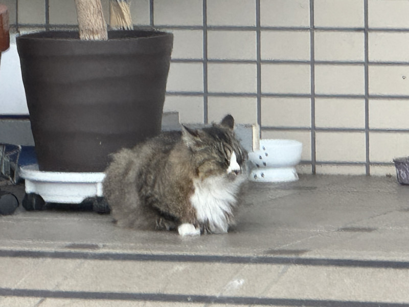凛の写メ