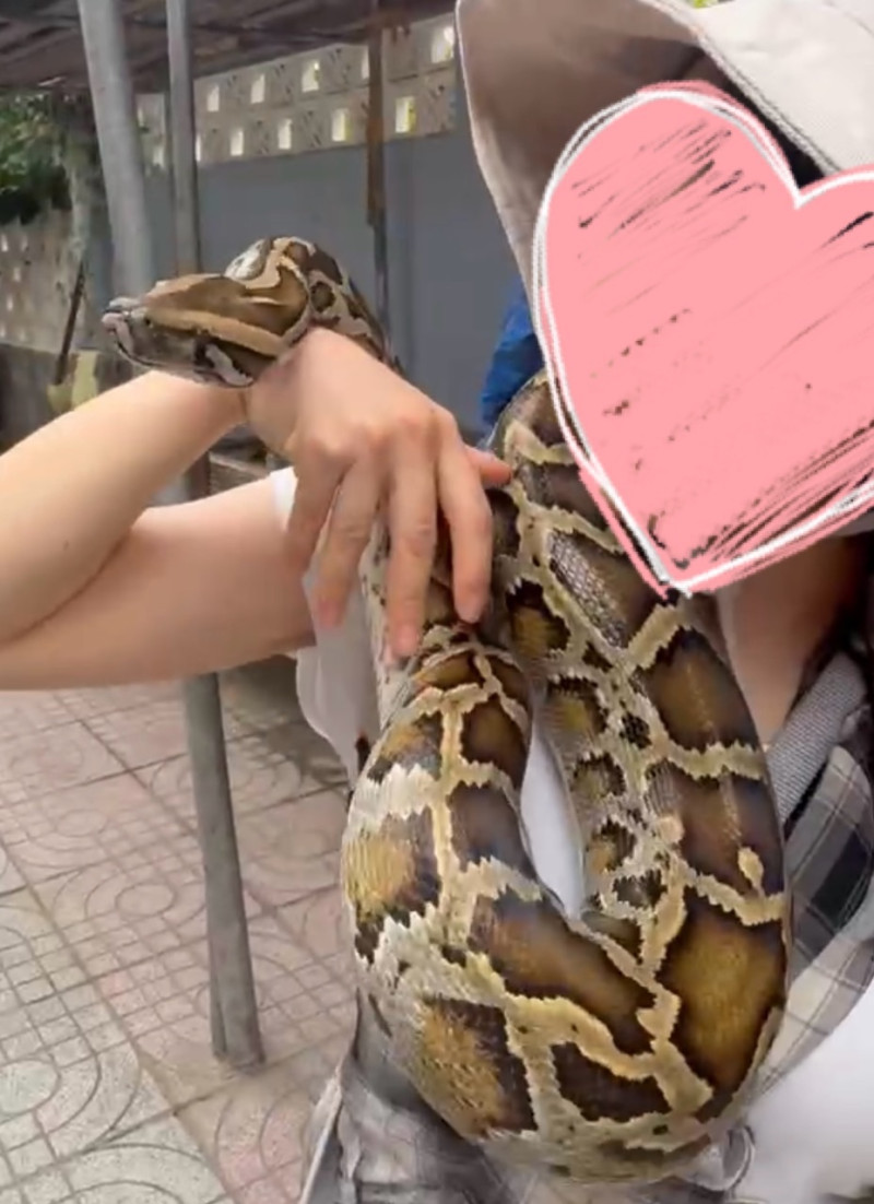 まあやの写メ